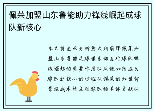 佩莱加盟山东鲁能助力锋线崛起成球队新核心 佩莱加盟山东鲁能助力锋线崛起成球队新核心